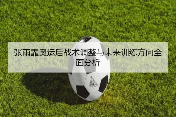 张雨霏奥运后战术调整与未来训练方向全面分析